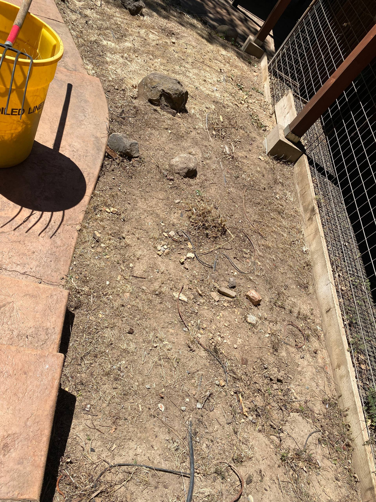 A garden bed we tore up in Quincy, after