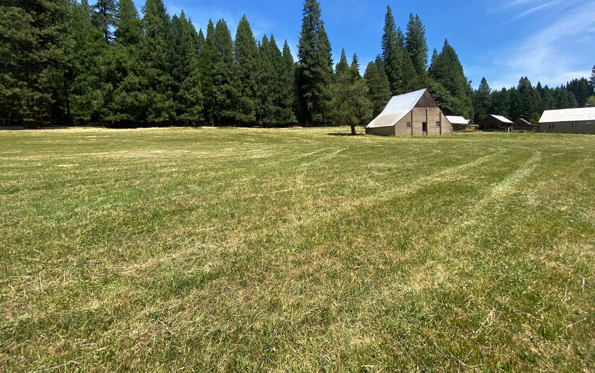 Hay in a Meadow valley field before and after, after