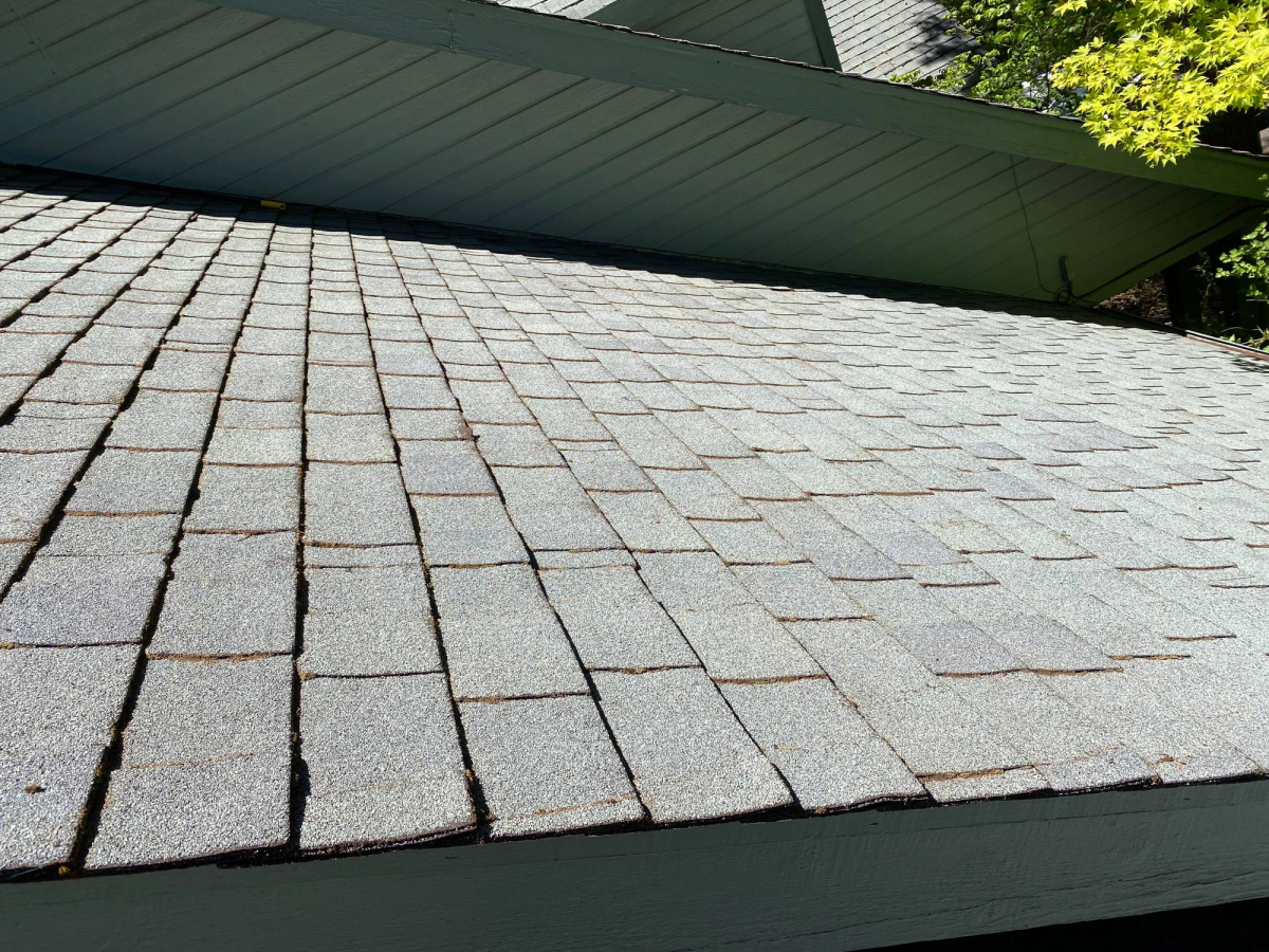 Before and after of moss removed from a roof, after