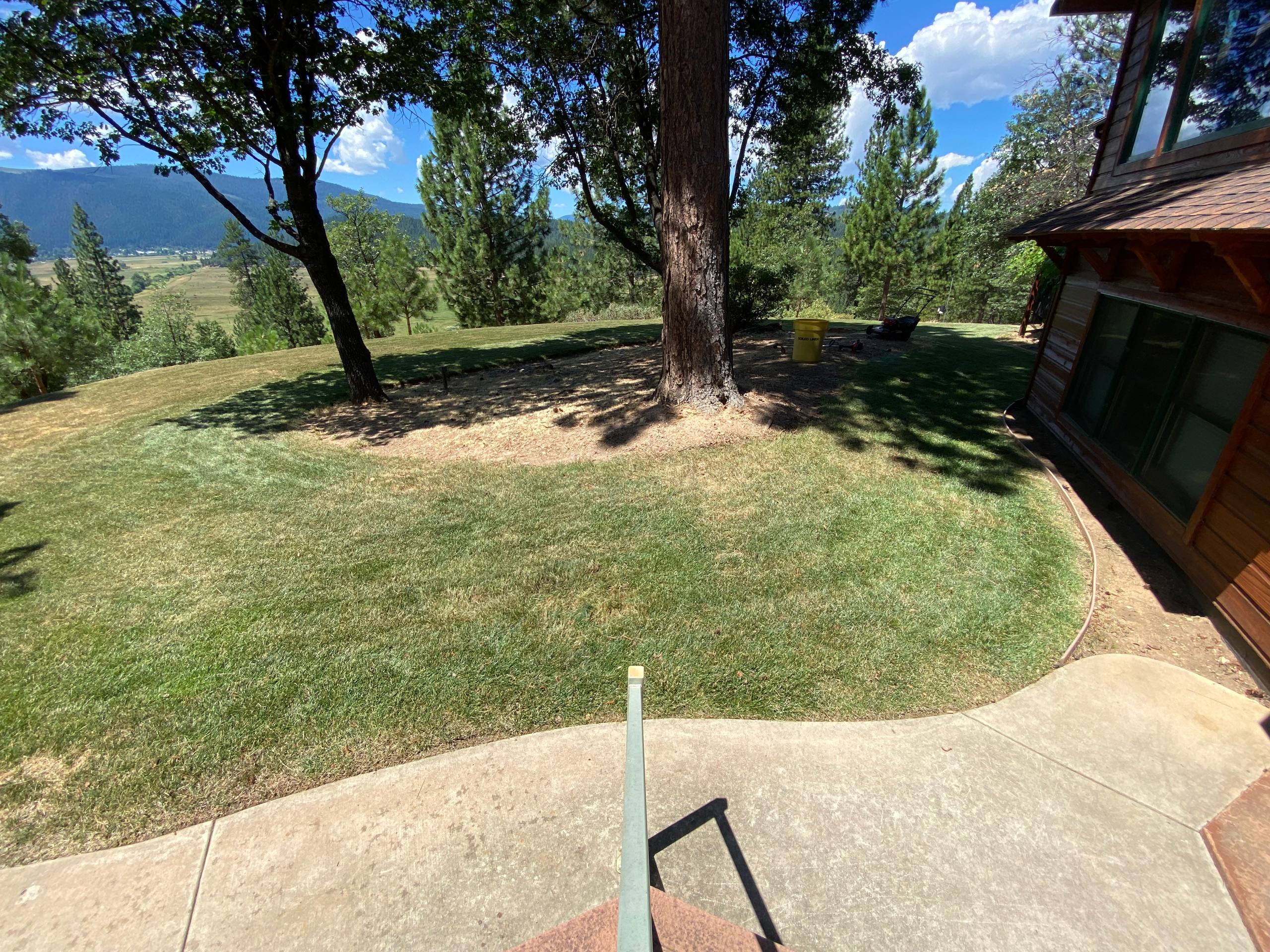 Before and after of lawn mowing, weed wacking and clean up in Quincy, after