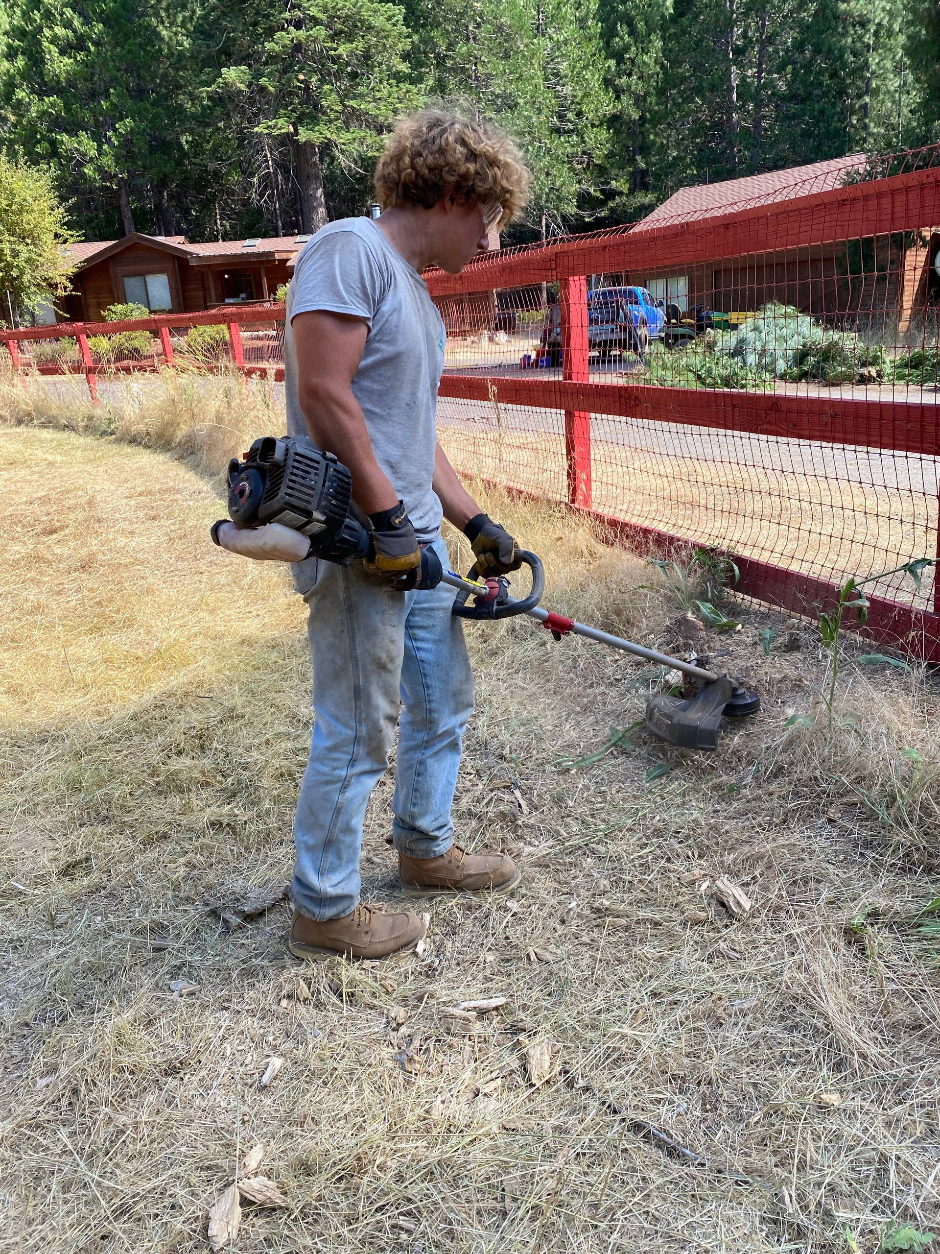 Chase on the job in Quincy