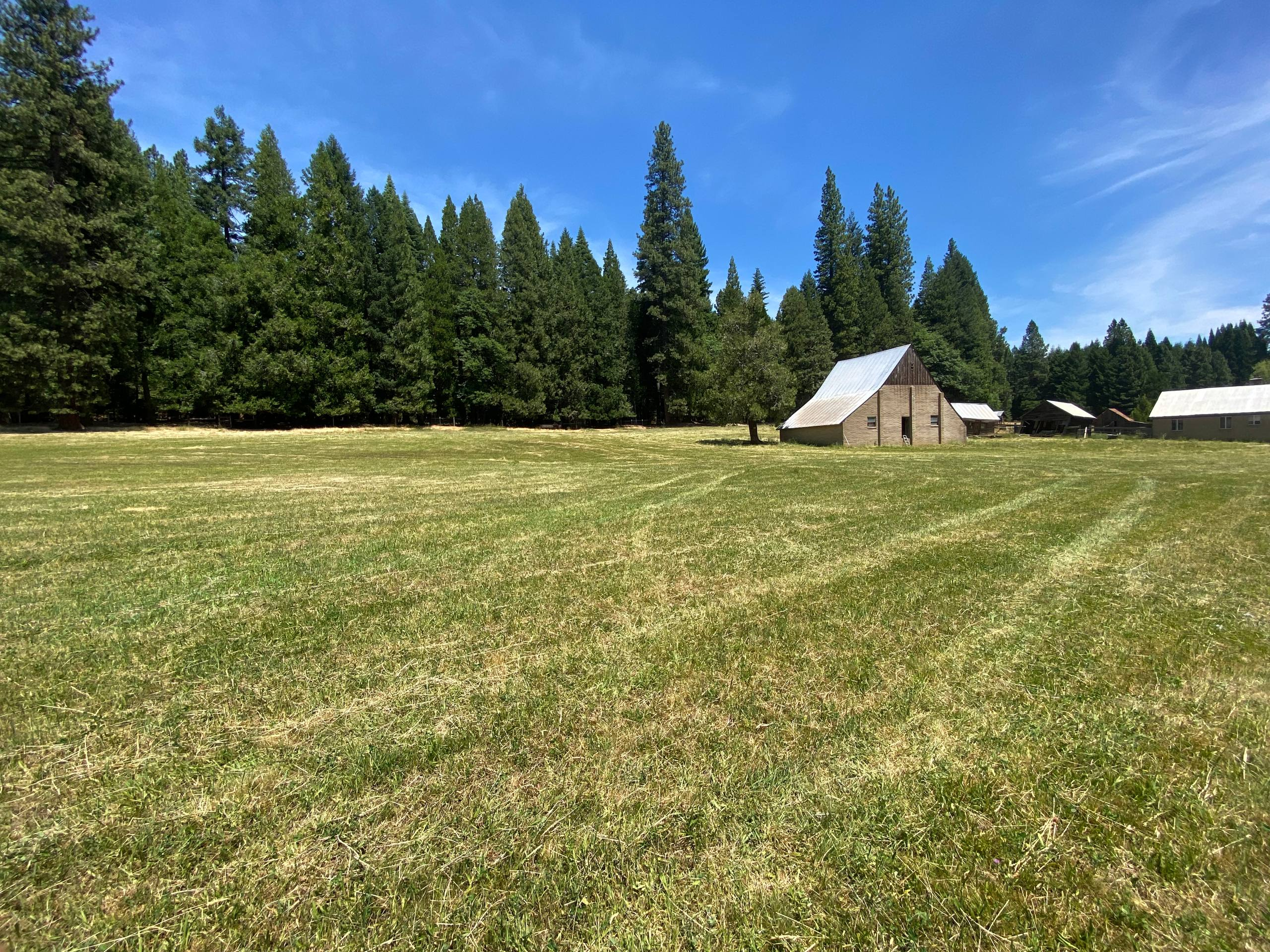 Hay in a Meadow valley field before and after, after