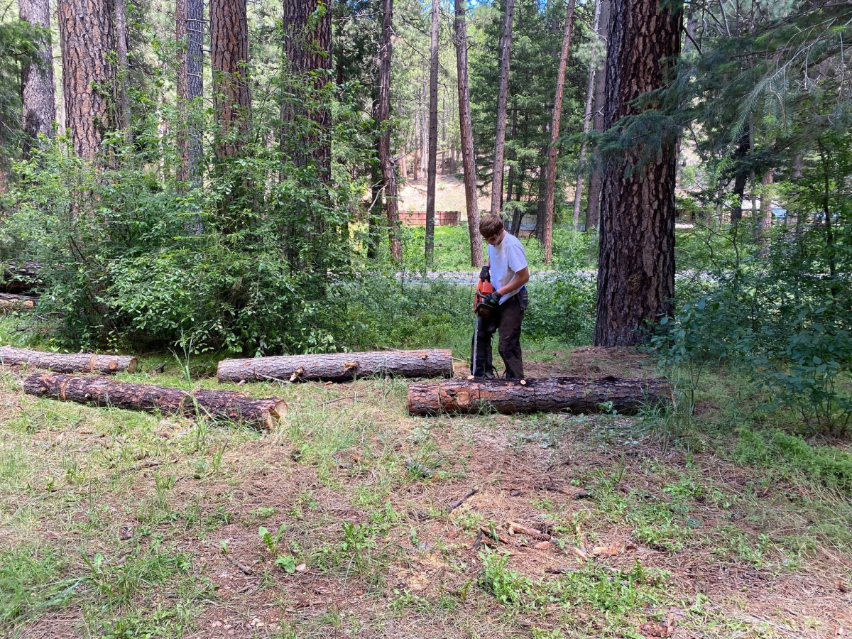 Bucking logs to be taken off the property