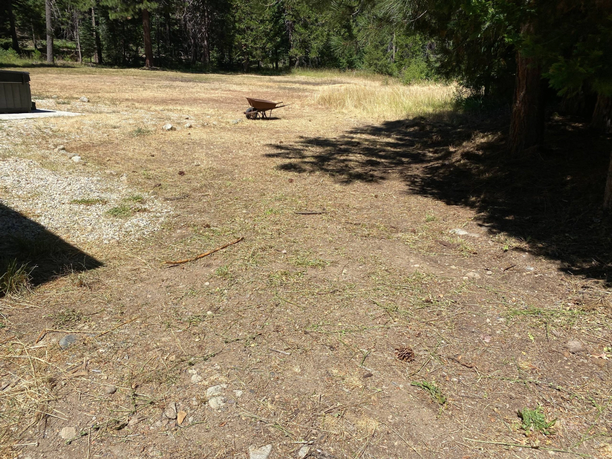 Weed wacking for a client near Bucks Lake, after