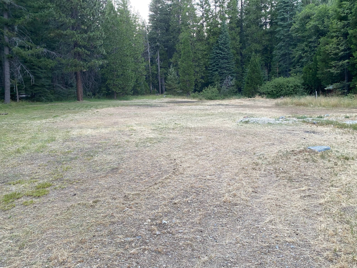 Back field mowed for client, after