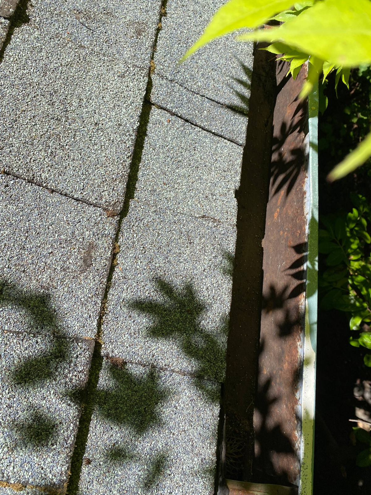 Moss removal and gutter cleaning for a Quincy Client, after