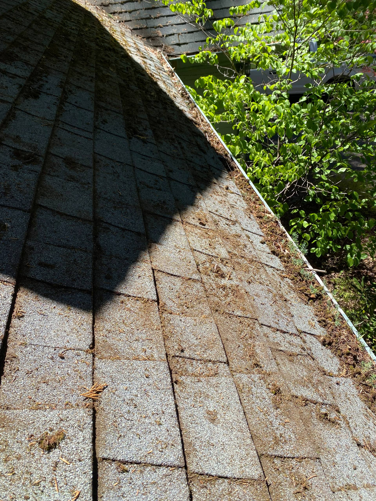 Moss removal and gutter cleaning for a Quincy Client, before