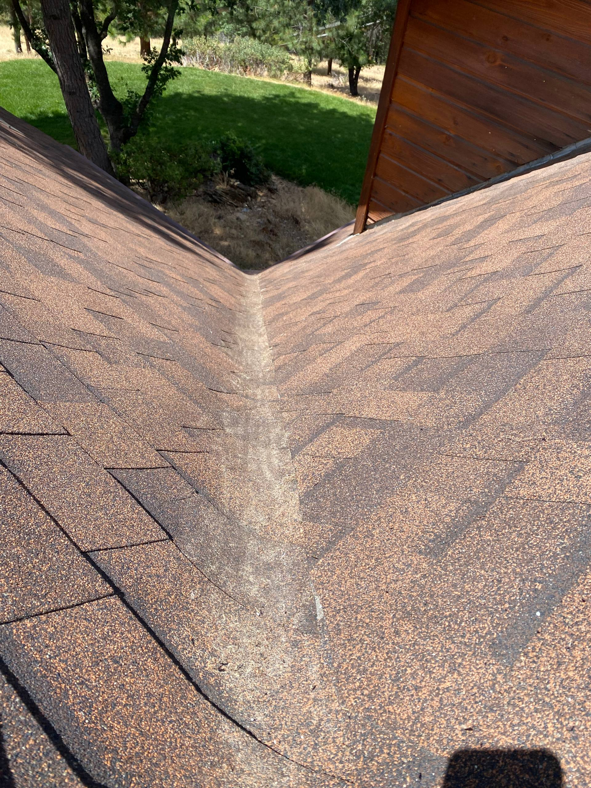 Pine needles cleaned of a roof, after