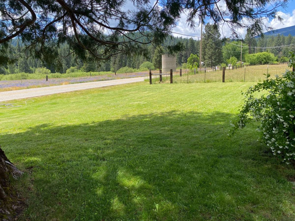Mowed lawn in Meadow Valley