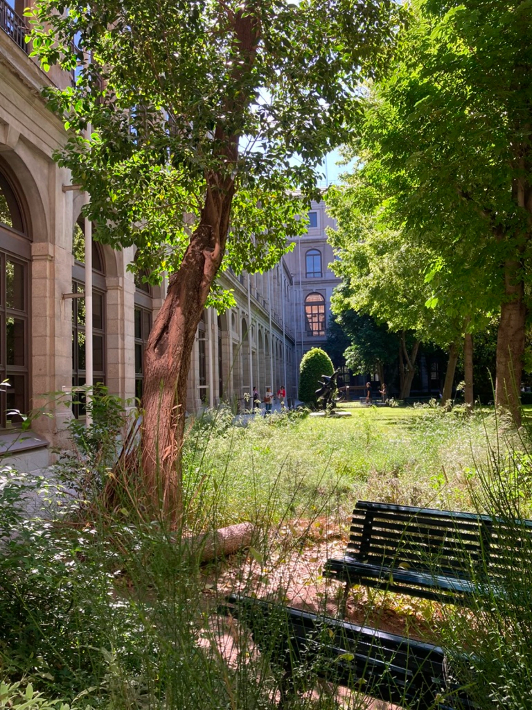 Museo Nacional Centro de Arte Reina Sofía - Main image