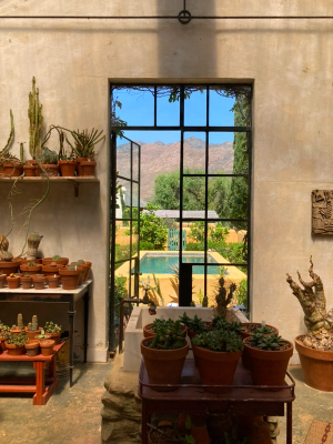 Gallery image 6