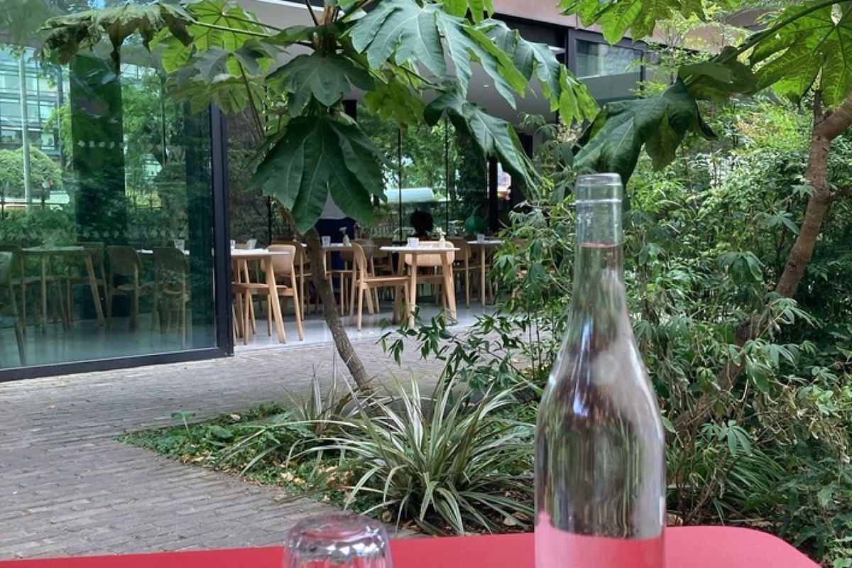 The Garden Museum