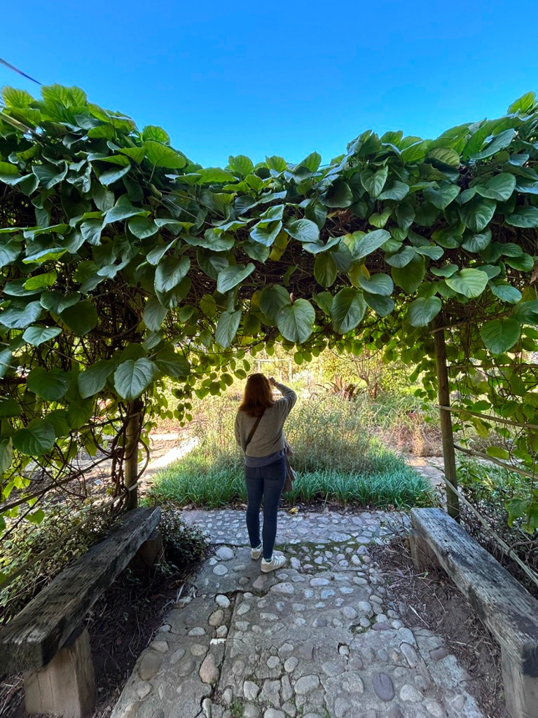 Stellenbosch University Botanical Garden - Main image