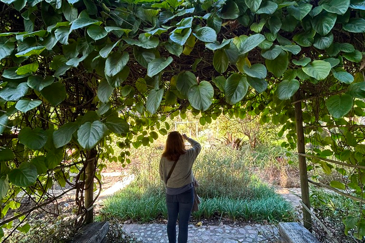 Stellenbosch University Botanical Garden