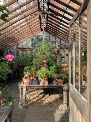 Gallery image 4