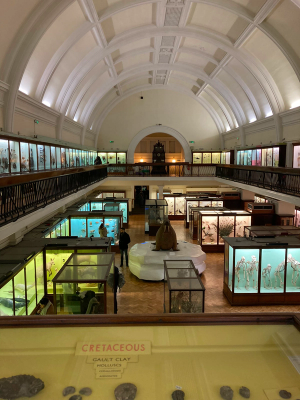 Gallery image 4