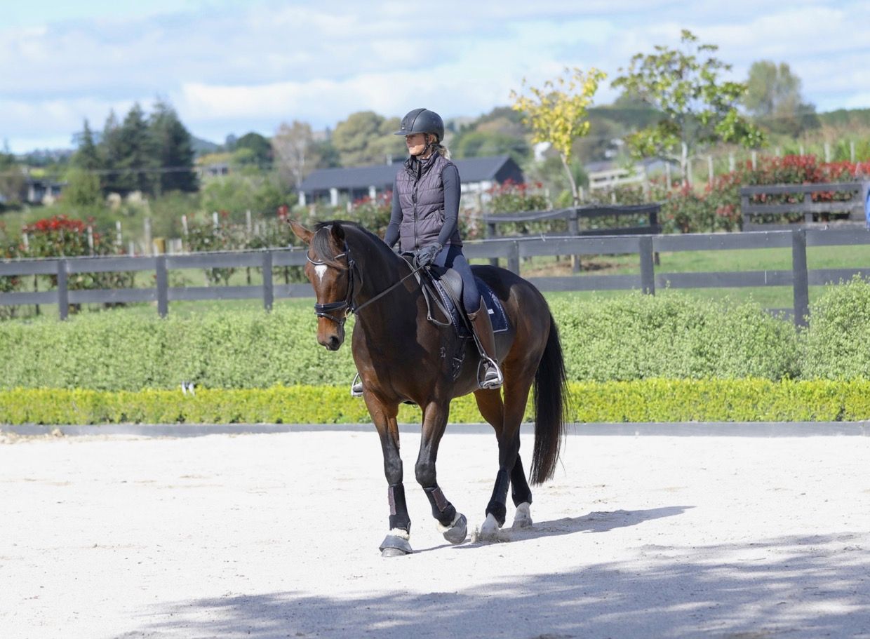 What Is The Dressage Pyramid of Training