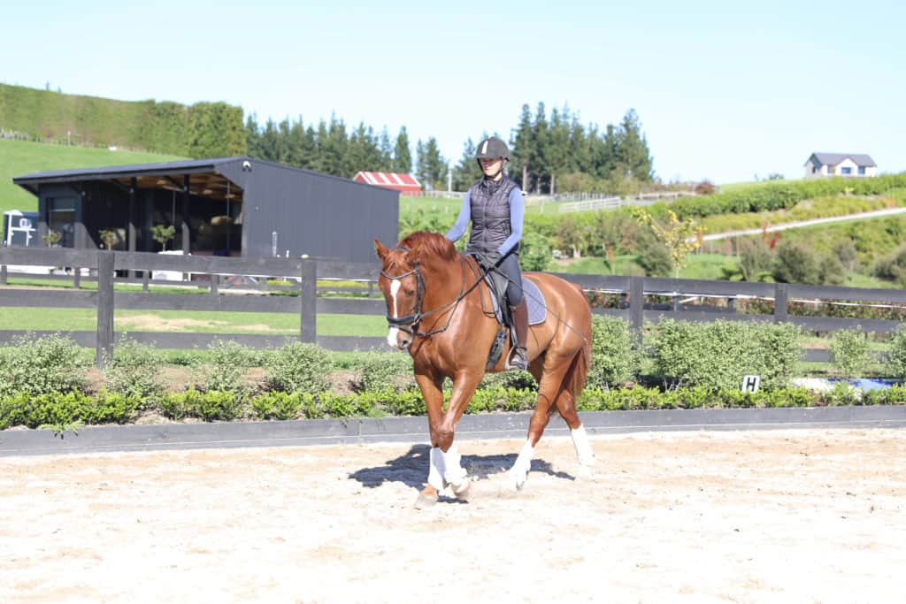 Improving Reaction Time In Dressage Riders