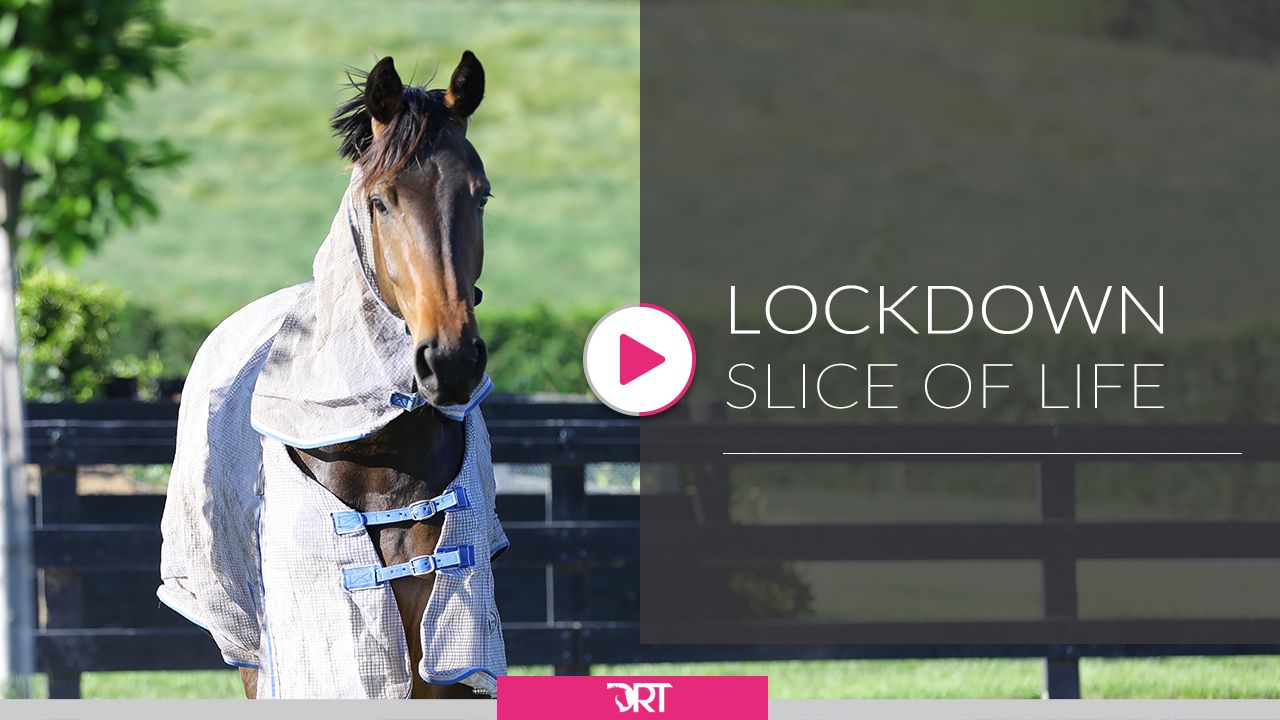 Lockdown Life - Morning Routine