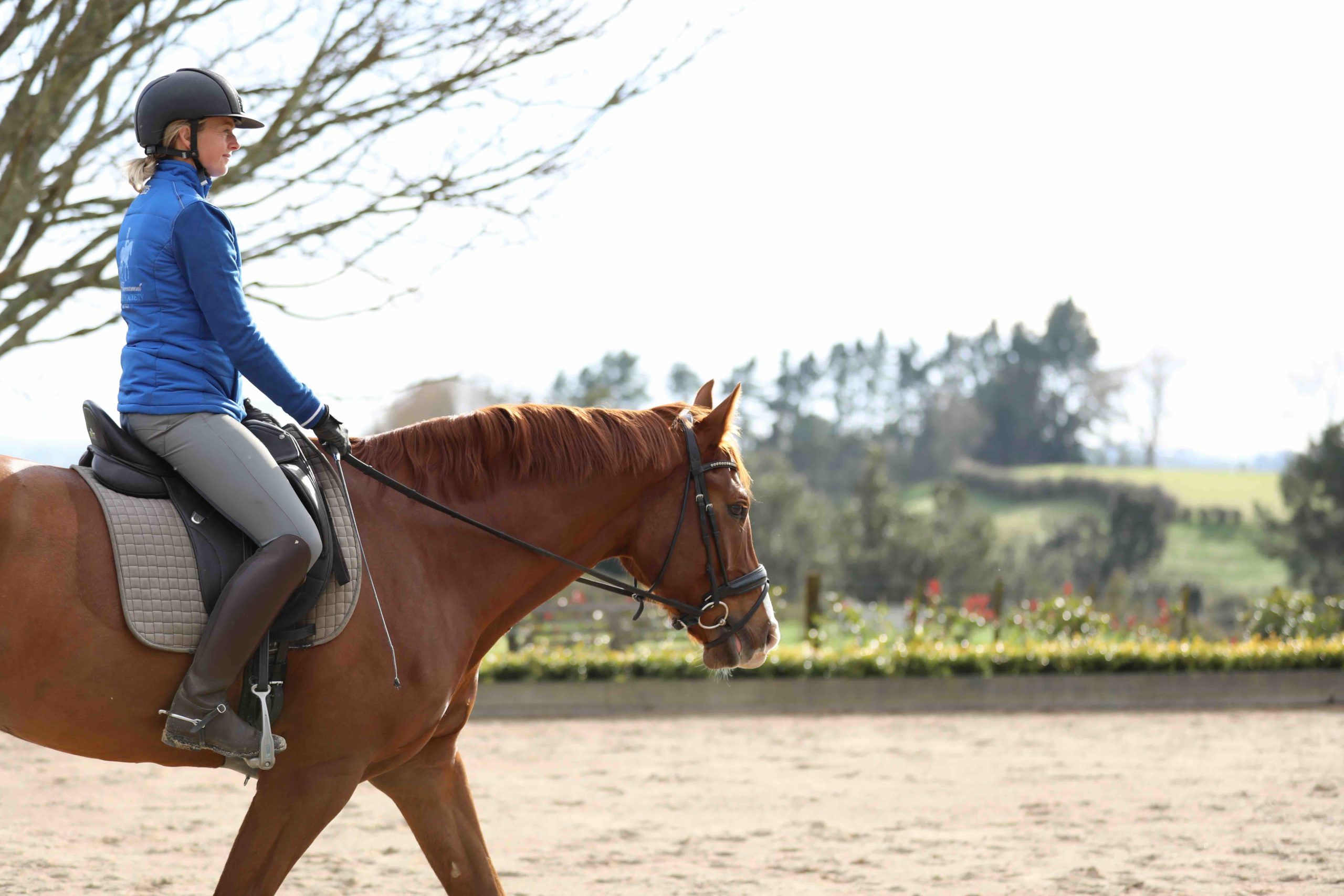 Dressage Posture - Improve The Health Of Your Spine