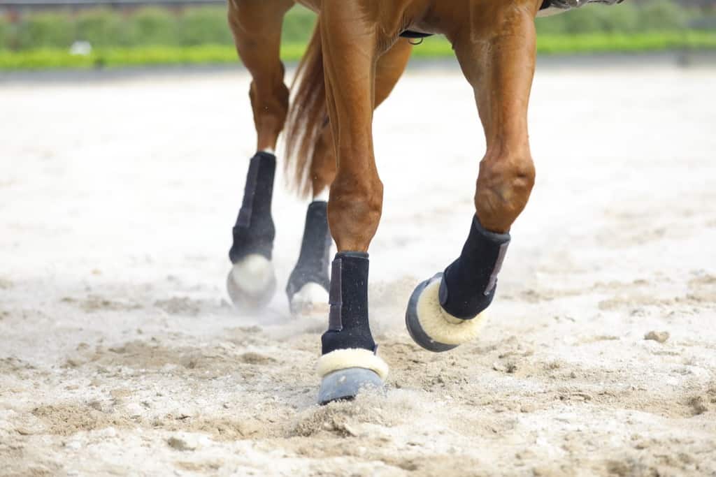 6 Key Behaviours Of Elite Performers