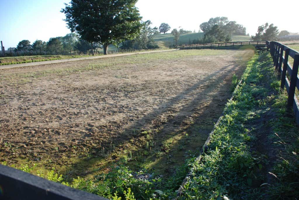 how to build dressage arena