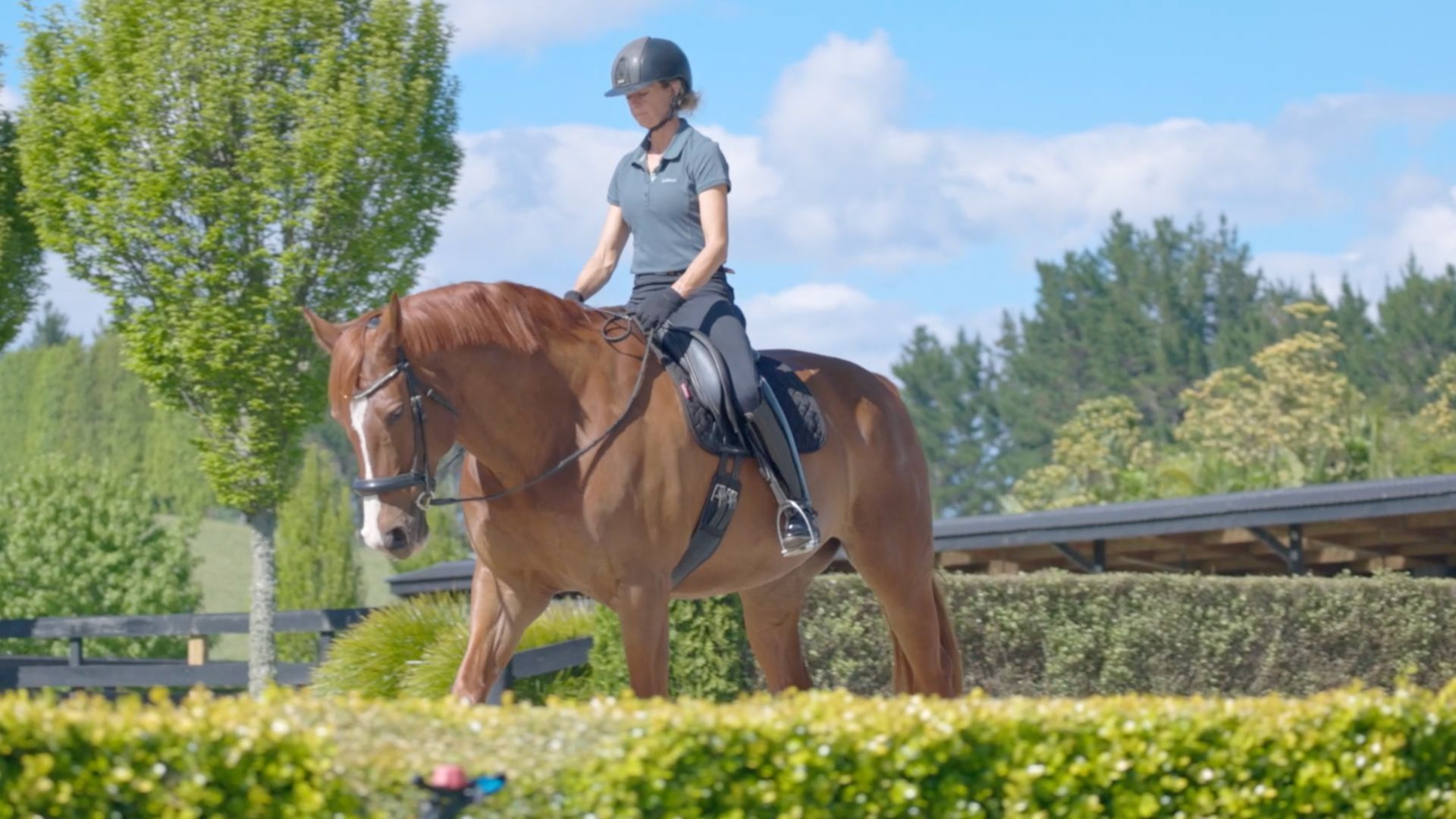 5 Signs Your Hips Are Closing in the Saddle (And What It Means)