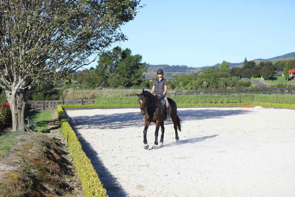 7 Simple Ways To Improve Your Core Strength For Dressage Riders