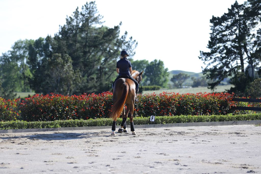 5 Exercises To Test And Improve Your Rider Symmetry