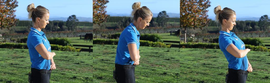 dressage position