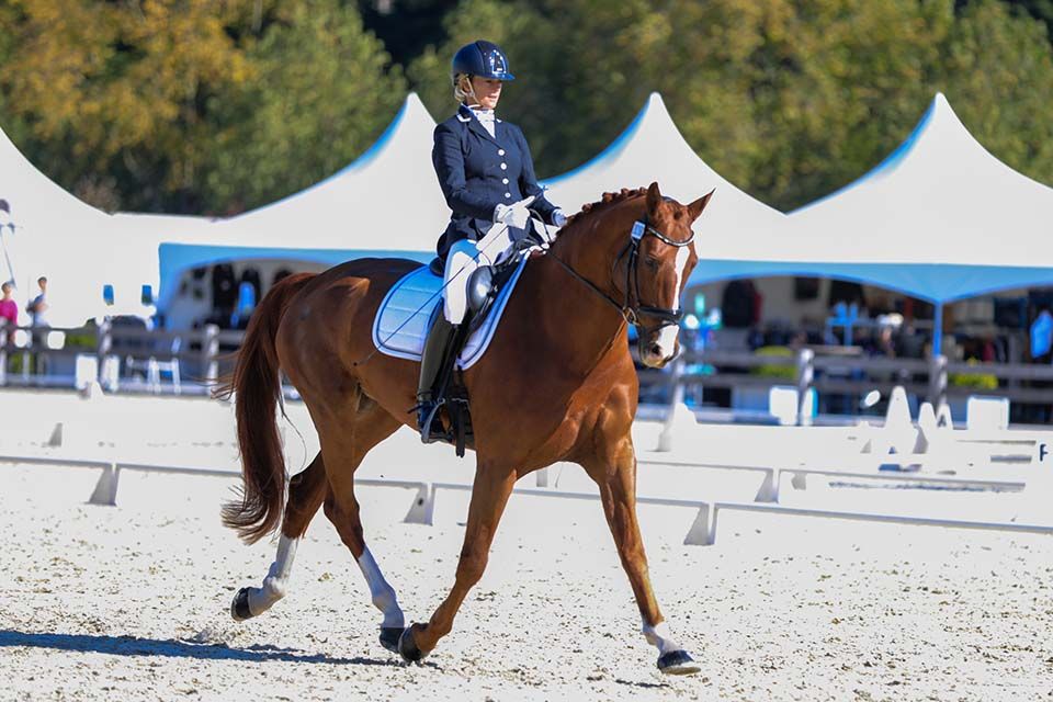 How to Improve Your Sitting Trot For Dressage