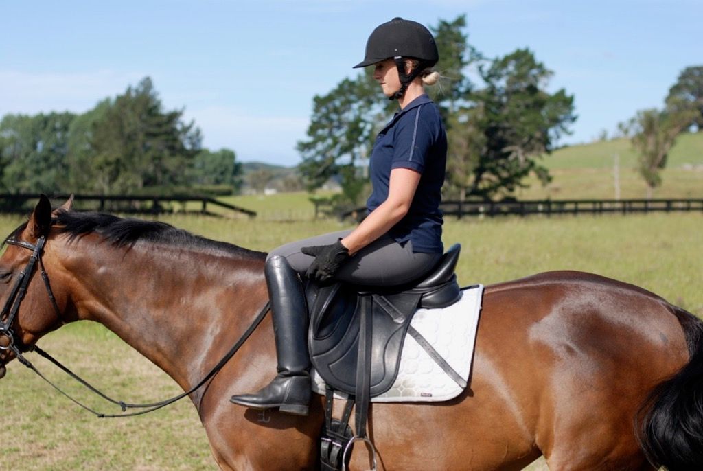 The Biomechanics Of Balance In Dressage