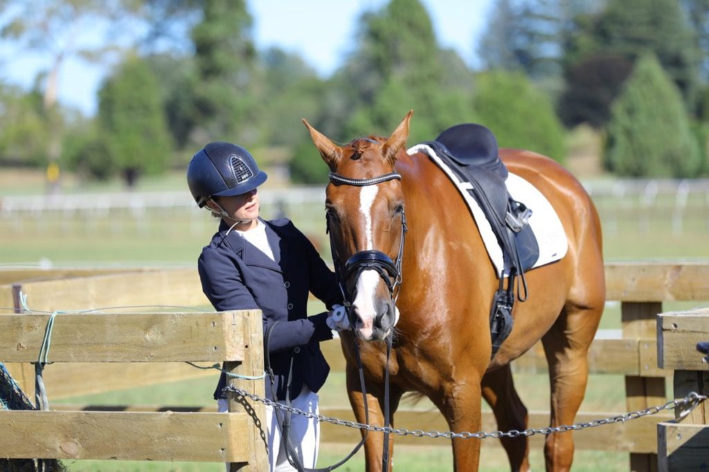 What To Do The Day Of Your Competition