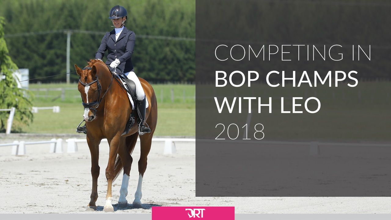 Bay Of Plenty Champs 2018