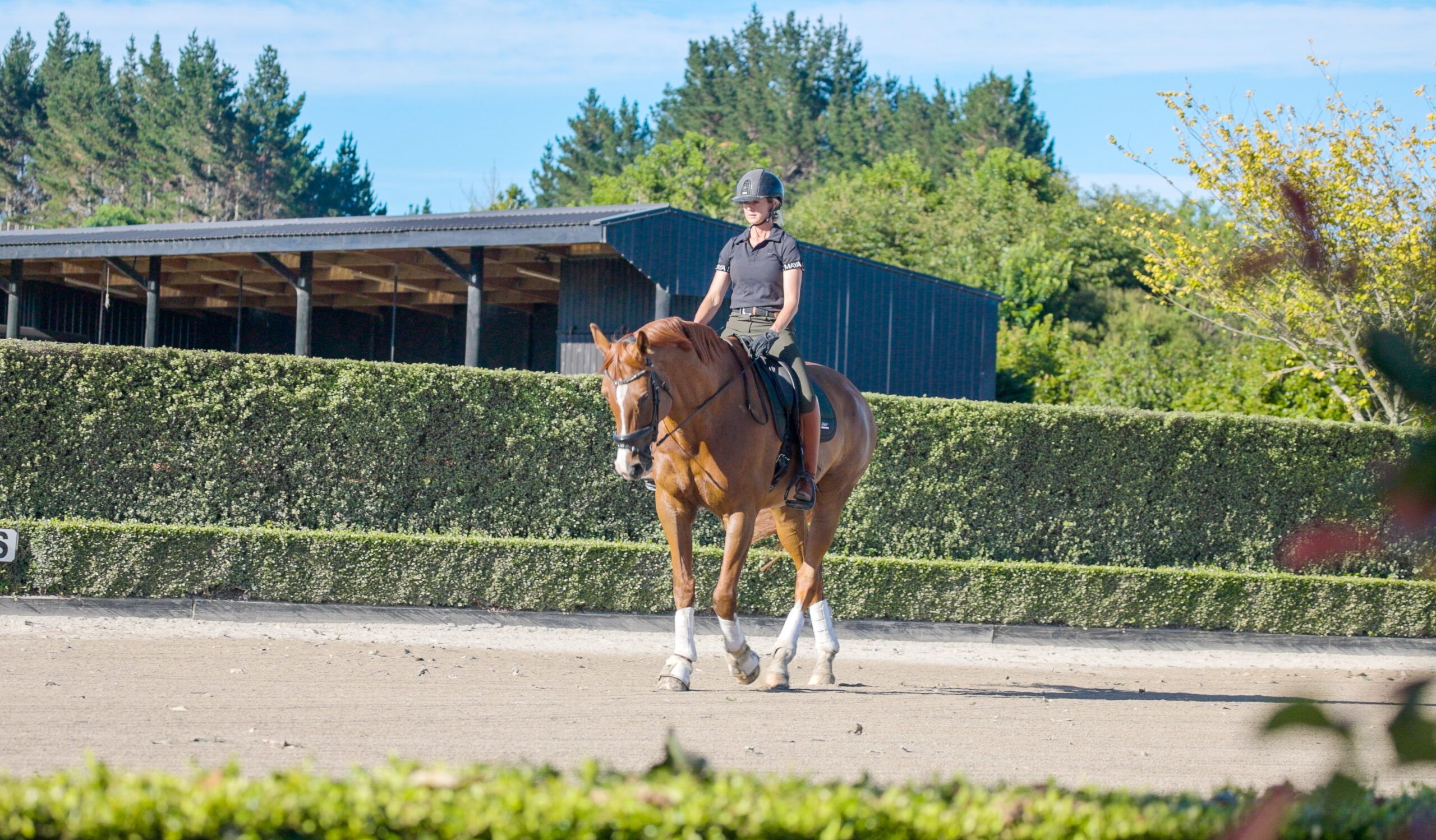 8 Key Muscles Involved When We Ride