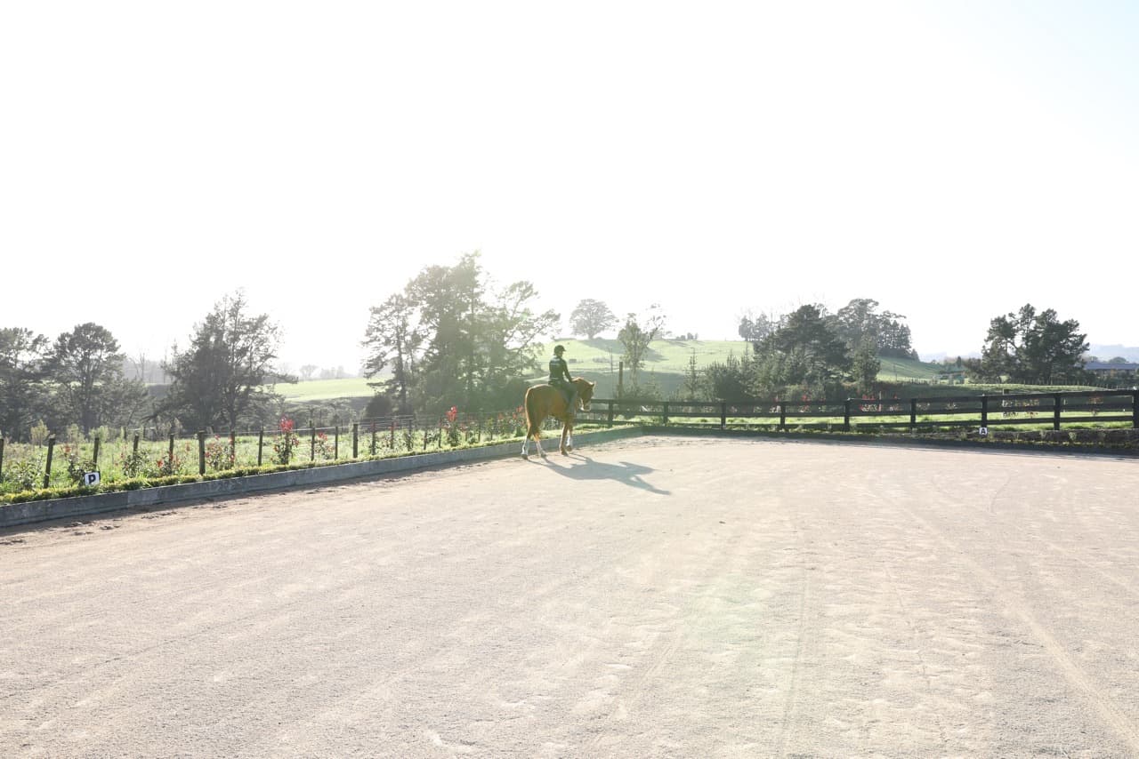 Simple Reminders To Achieve A Successful Rider Mindset