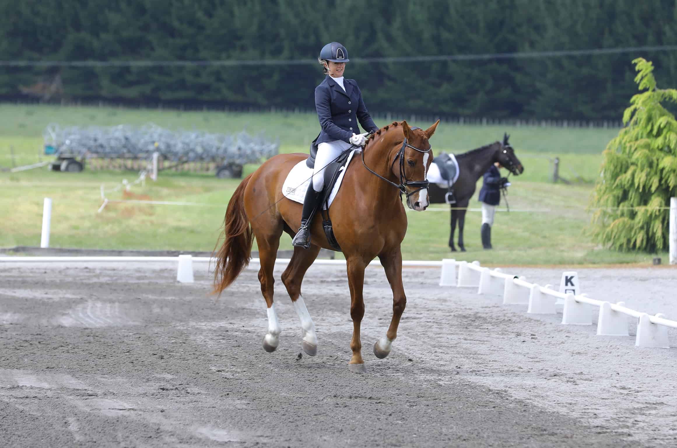 The Ultimate Core Exercise For Dressage Riders