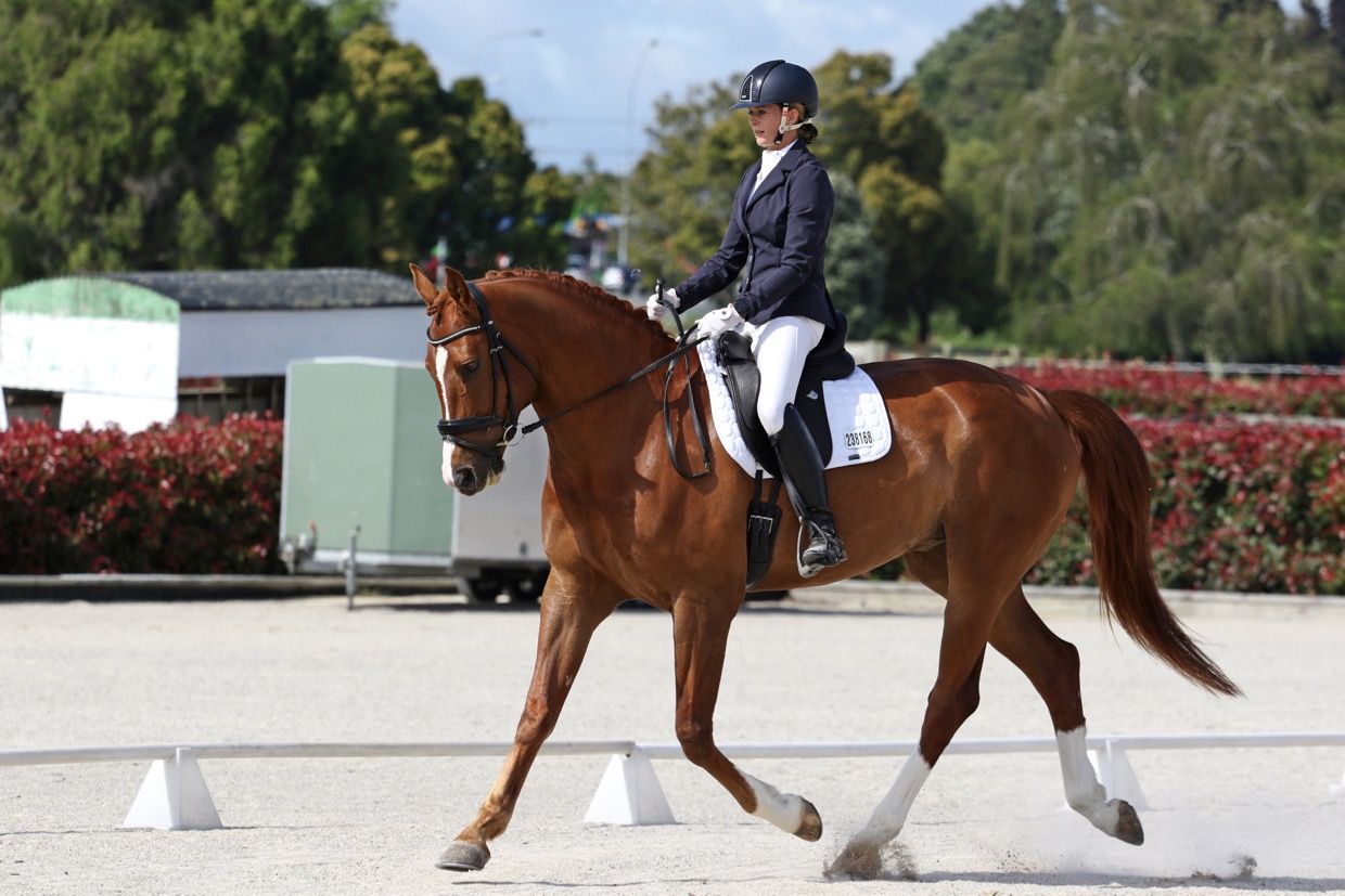 what-is-dressage