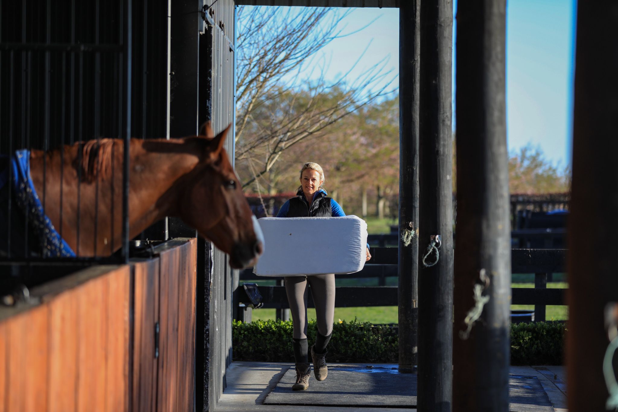 Strength Training For Dressage