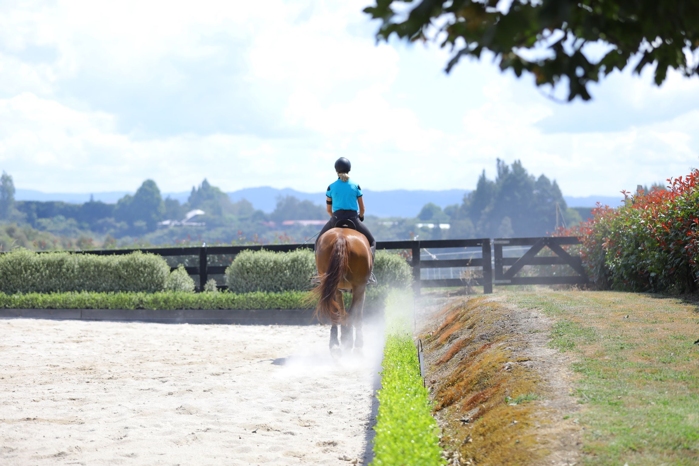 The Role Our Adductors Play In Dressage Position