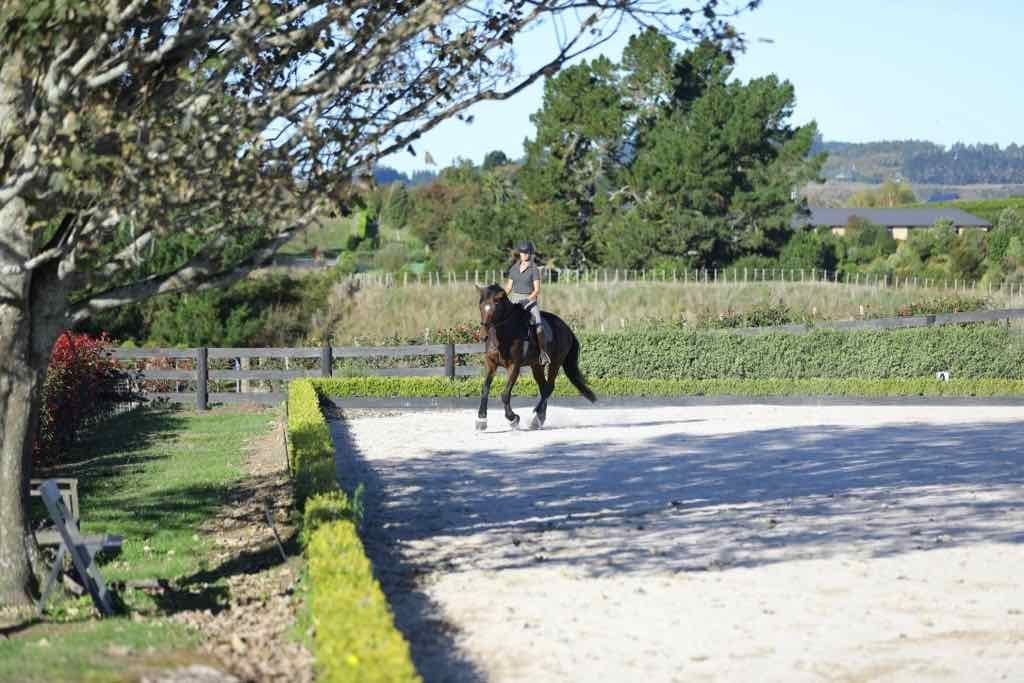 dressage arena