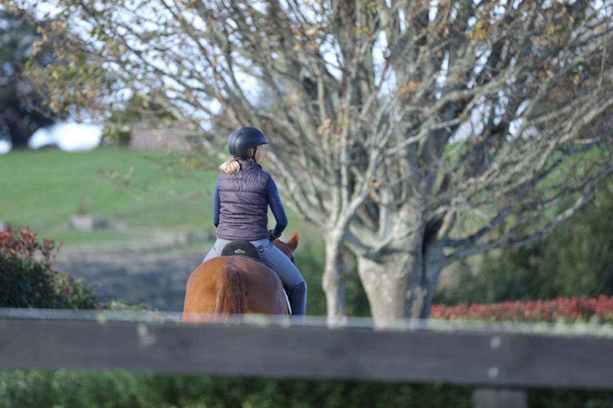 Why Living In Your Comfort Zone Is Stopping You From Reaching  Your Potential