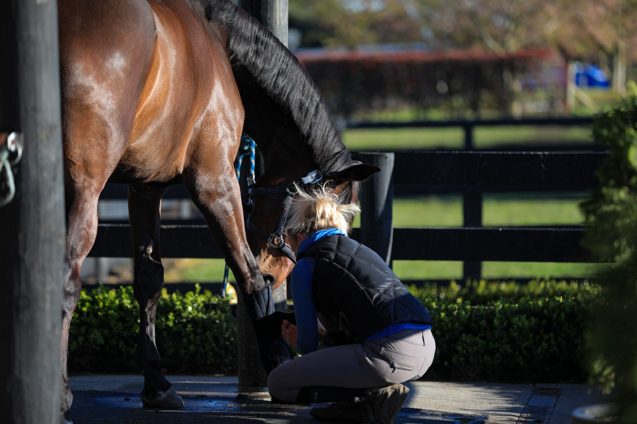 Stretches To Help With Hip Mobility In Dressage Riders
