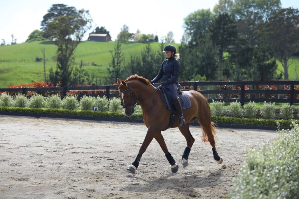 How To Keep Your Hips Healthy And Mobile As A Dressage Rider