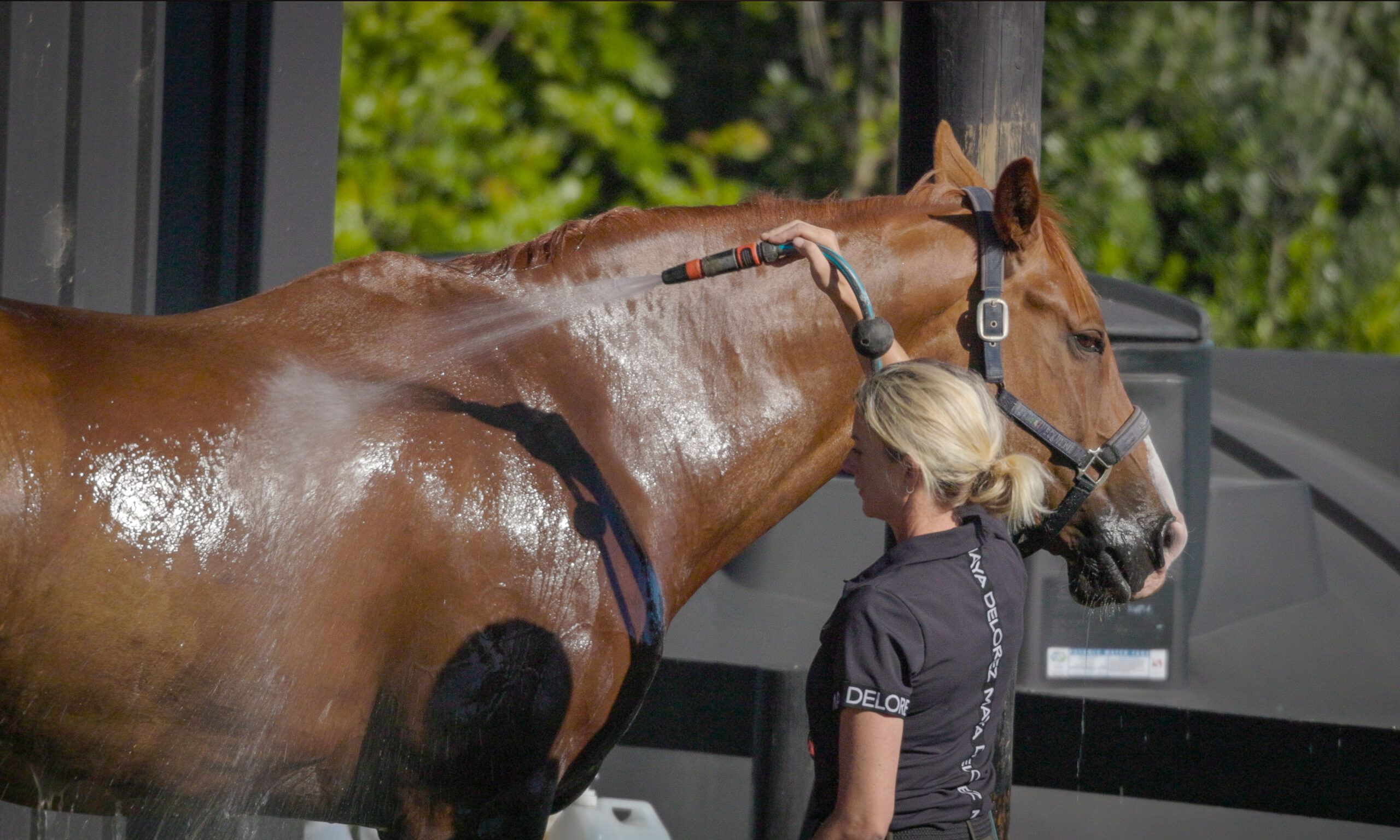 Hydration And Its Role On Your Rider Performance + Sports Drink Recipe
