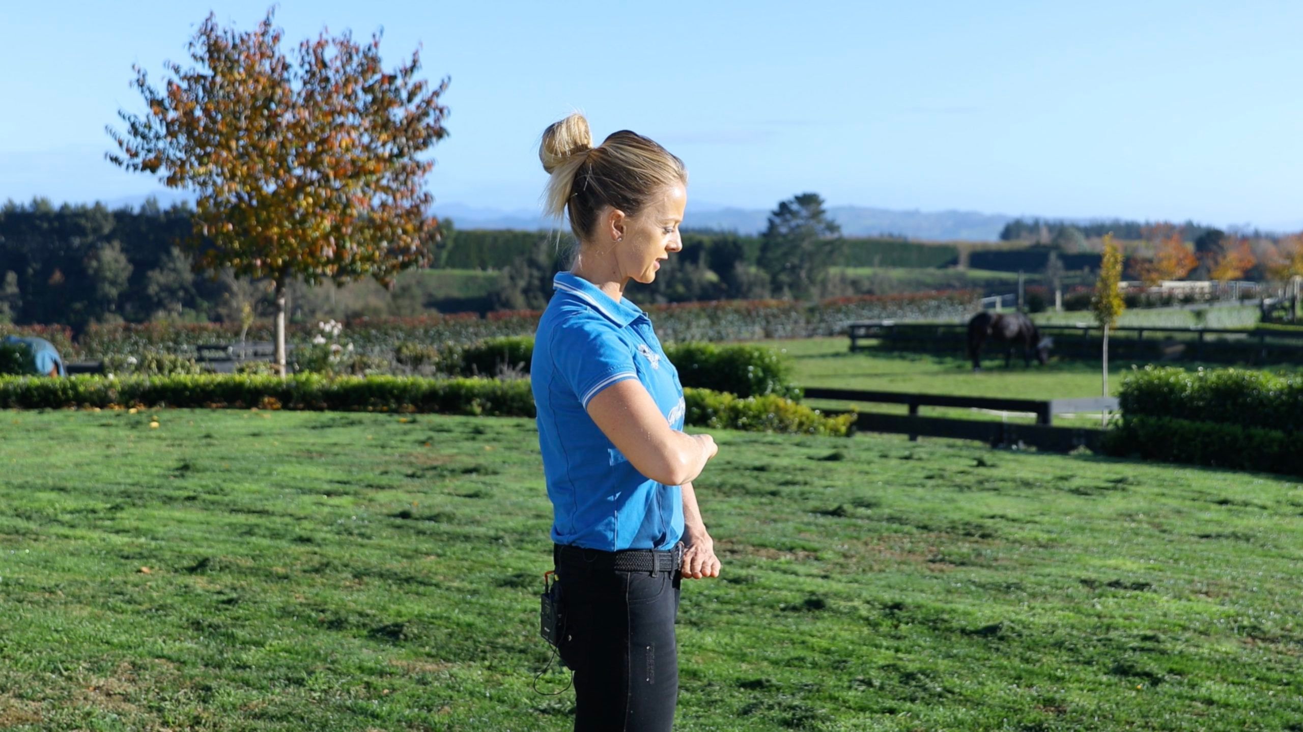 How To Improve Your Dressage Position