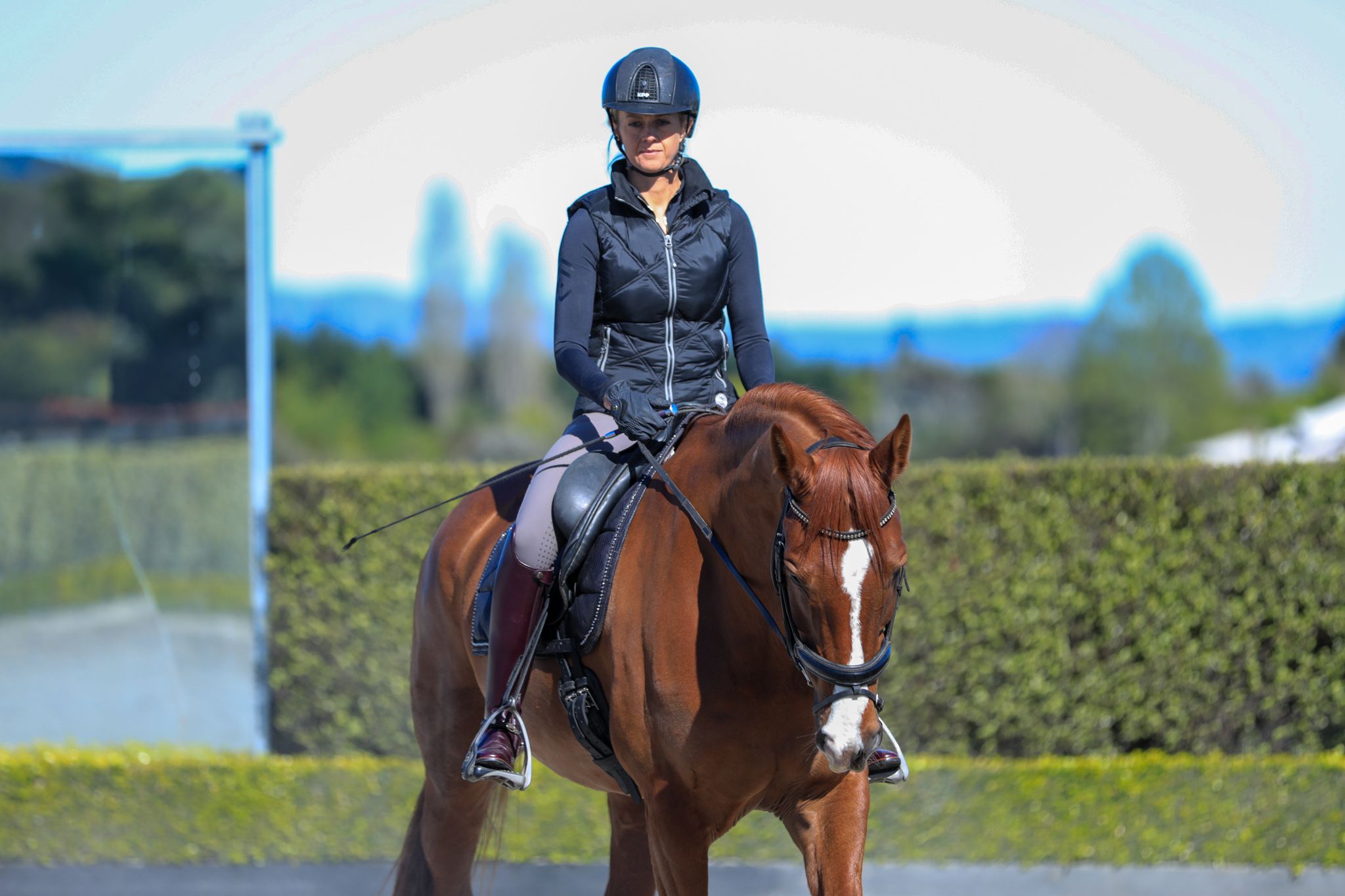 Understanding your pelvis and how it relates to riding balanced and soft
