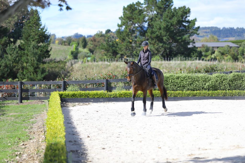 pilates for equestrians