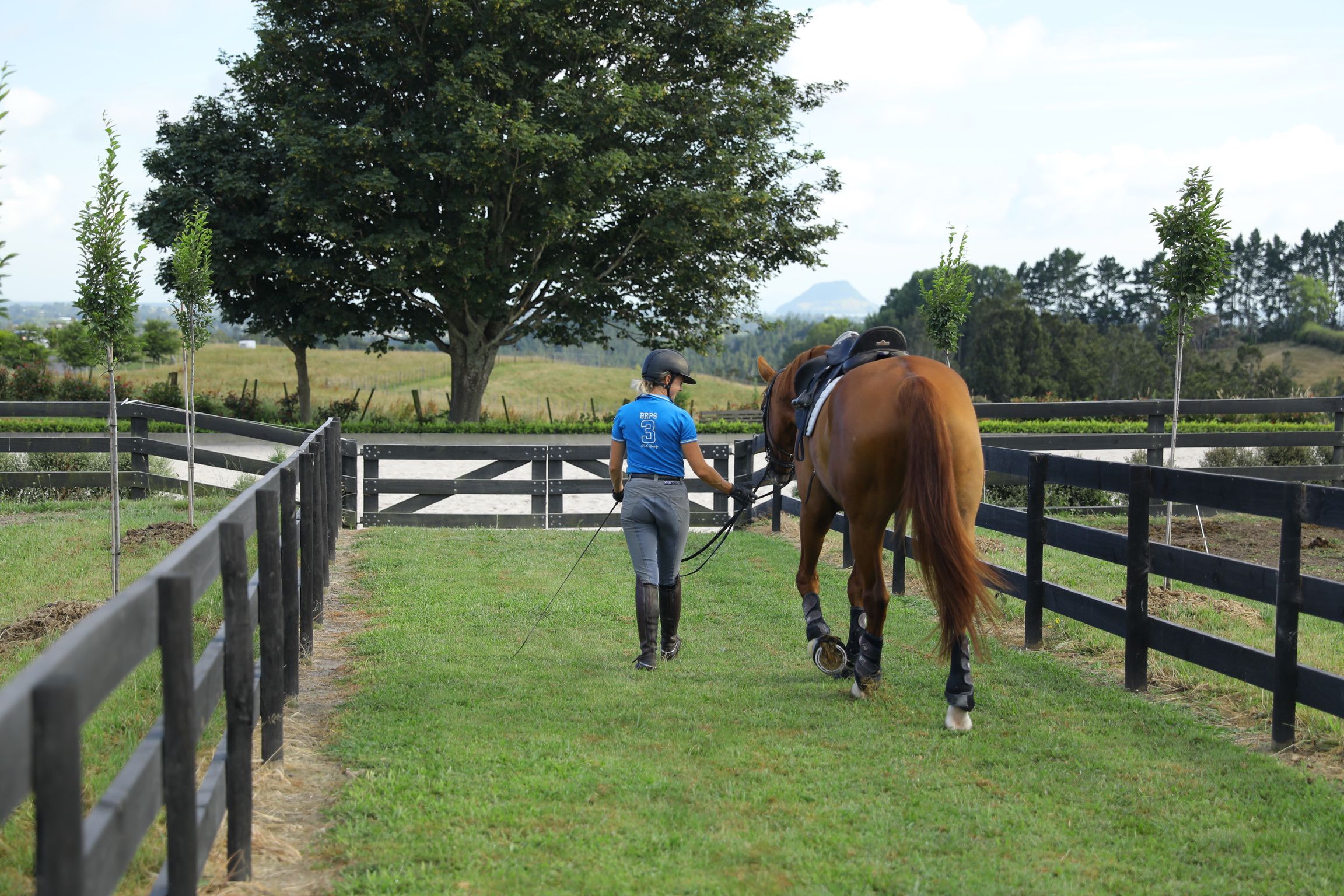 Dealing With Stress To Improve Your Riding