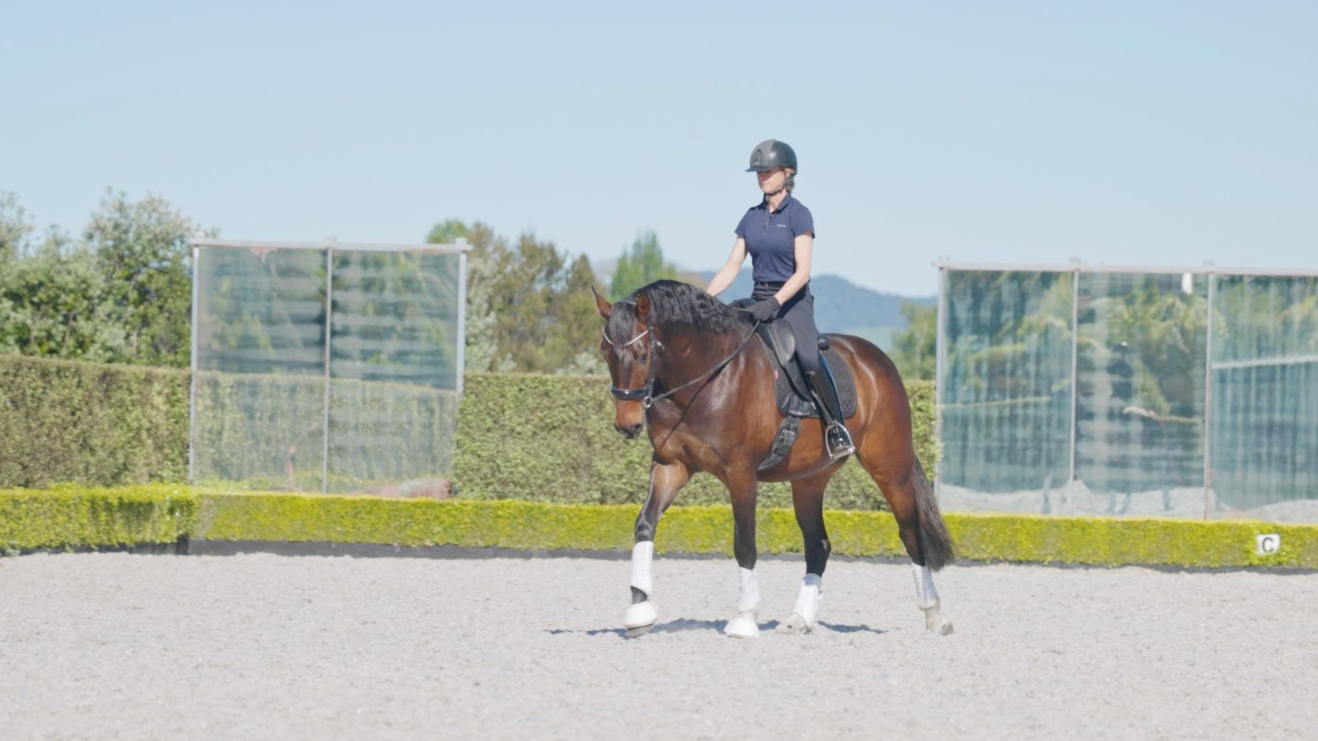 How The Psoas Affects Your Pelvis Stability
